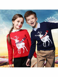 Kids Christmas Ugly Reindeer Sweater