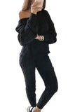Casual Solid Long Sleeve Pants Knit Leisure Suit