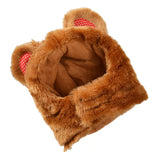 Standing Brown Bear Dog Costume Small Teddy Bear Clothes