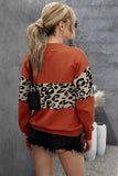 Leopard Colorblock V Neck Knit Sweater