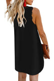Eyelash Lace V Neck Sleeveless Plain Mini Dress Black
