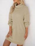 Women Dolman Sleeve Chunky Turtleneck Sweater Mini Sweater Dress