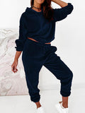 Women's 2 Piece Outfits Velour Hoodies And Sweatpants Set