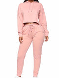 Hooded Crop Top Jogger Sweatpants 2 Piece Outfits