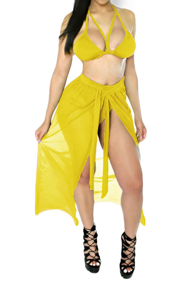 Halter High Cut Mesh 3Pcs Co-Ord Bikini Set