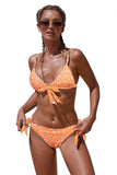 Floral Print Knot Triangle Top Bikini Swimsuit For Women
